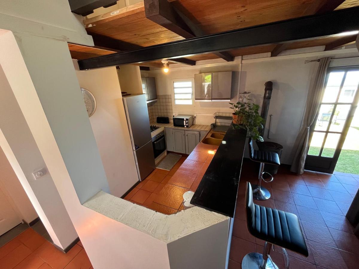 La Maison Des Camelias Le Tampon Extérieur photo